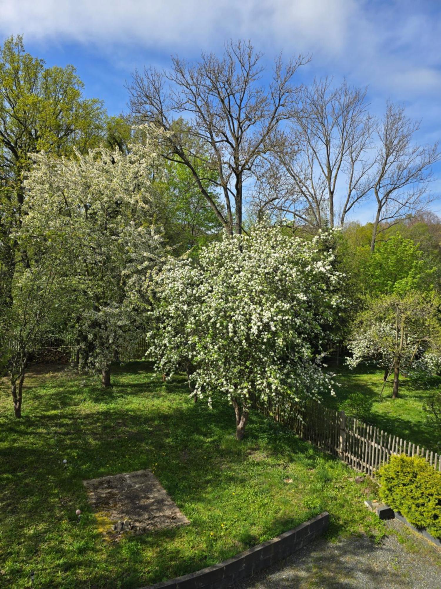 Villa Kuechwald 开姆尼茨 外观 照片