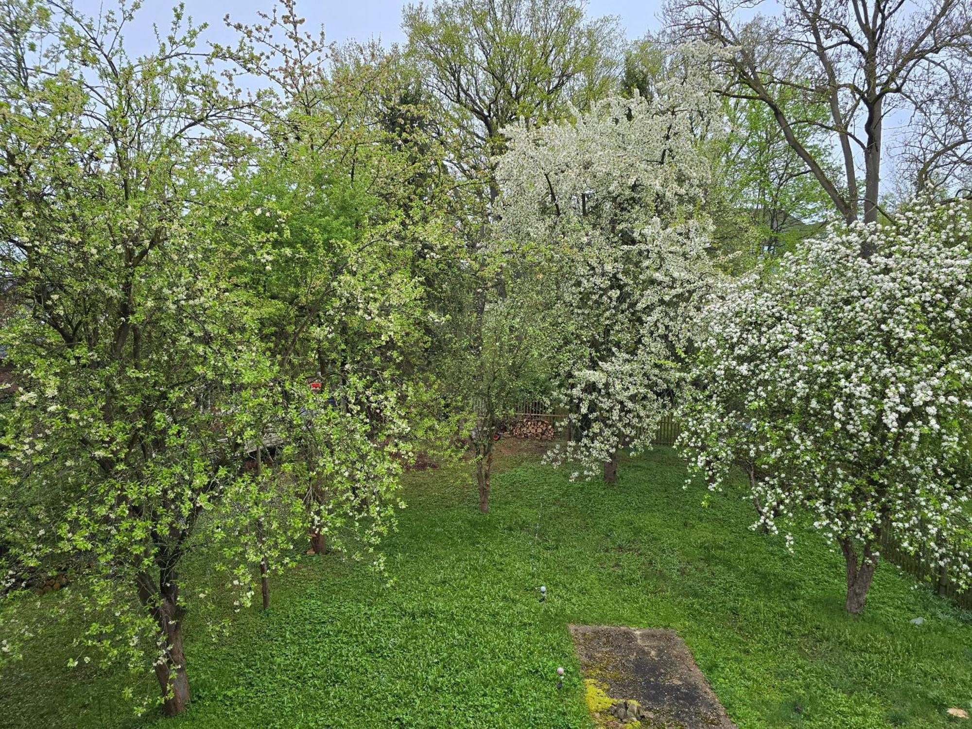 Villa Kuechwald 开姆尼茨 外观 照片