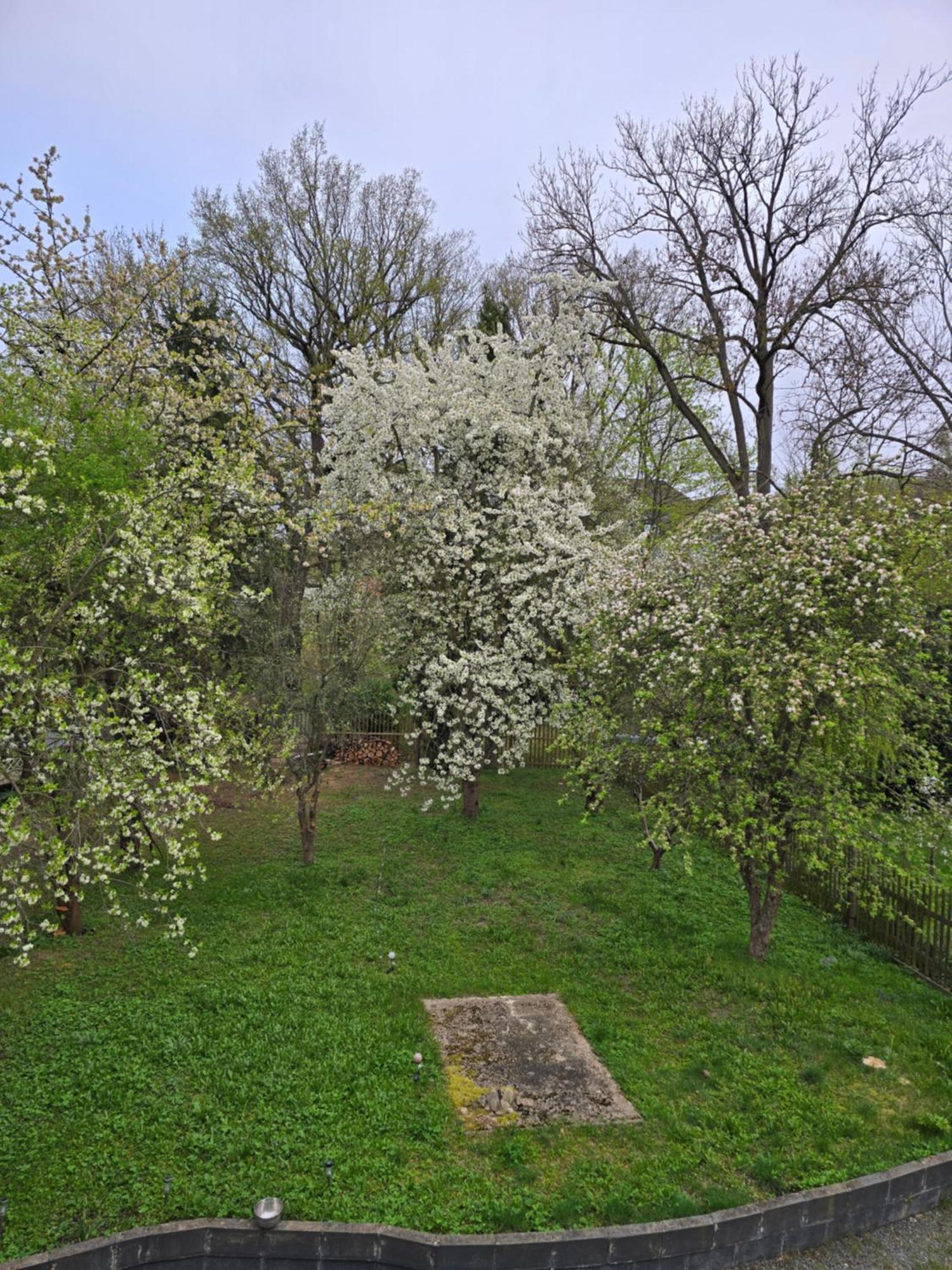 Villa Kuechwald 开姆尼茨 外观 照片