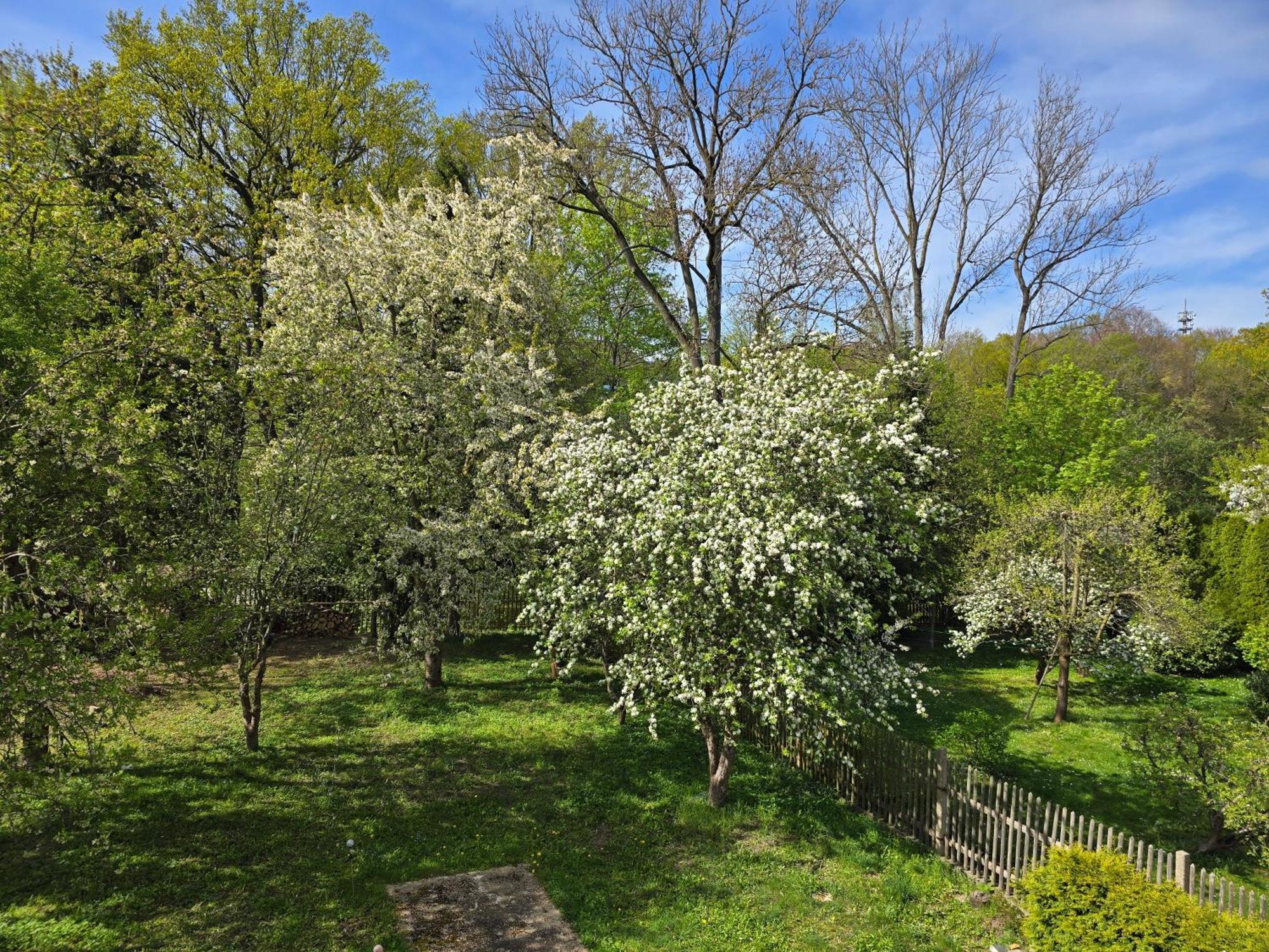 Villa Kuechwald 开姆尼茨 外观 照片