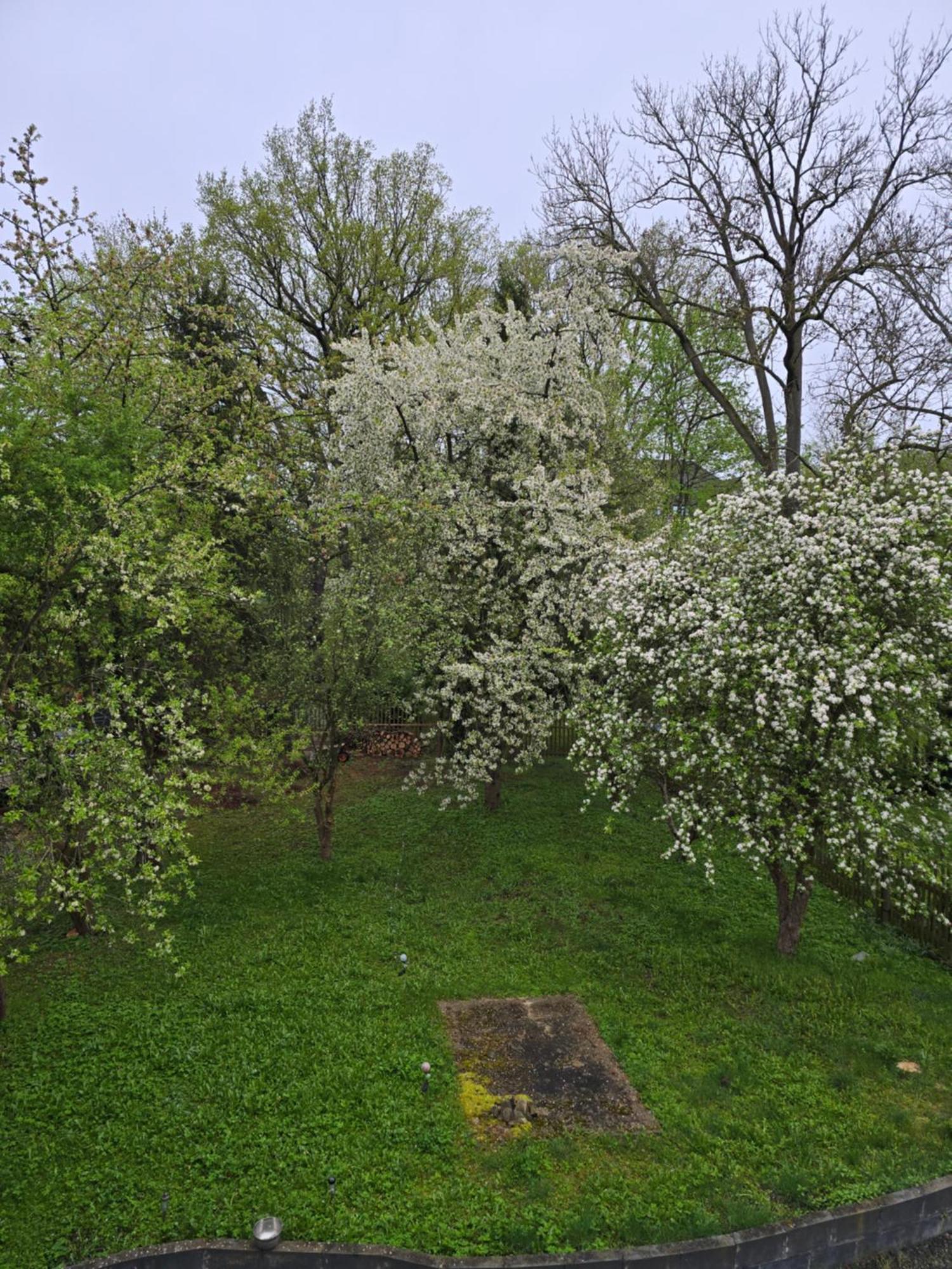 Villa Kuechwald 开姆尼茨 外观 照片